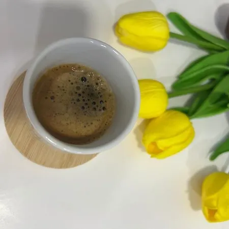 Rizz 2 Apartament Tirana