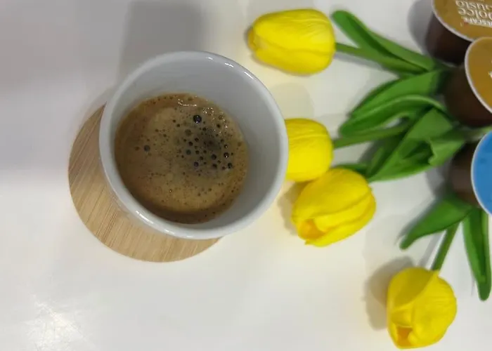 Rizz 2 Apartament Tirana